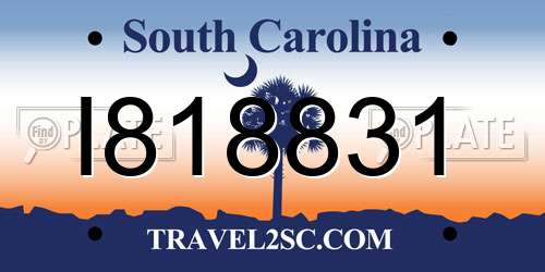 I818831 South Carolina License Plate