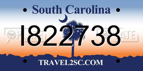 I822738 South Carolina License Plate