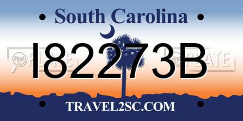 I82273B South Carolina License Plate