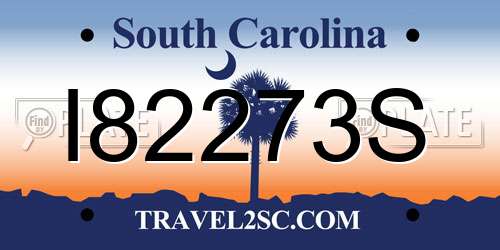 I82273S South Carolina License Plate