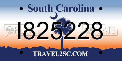 I825228 South Carolina License Plate