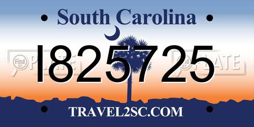 I825725 South Carolina License Plate