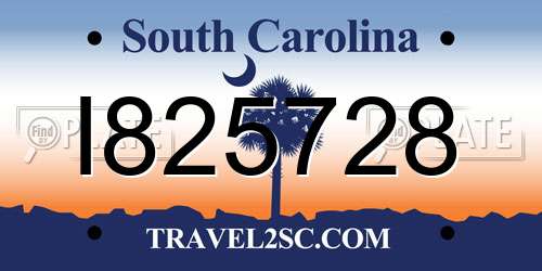 I825728 South Carolina License Plate