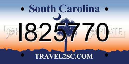 I825770 South Carolina License Plate
