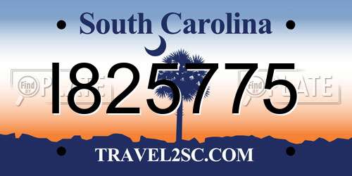 I825775 South Carolina License Plate