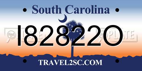 I82822O South Carolina License Plate