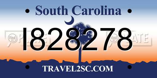 I828278 South Carolina License Plate