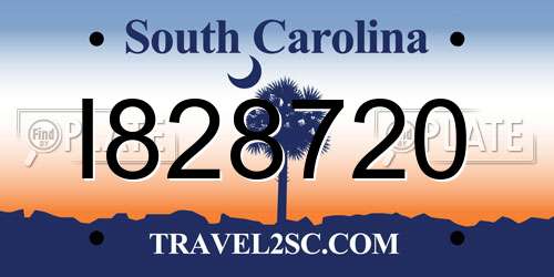 I828720 South Carolina License Plate