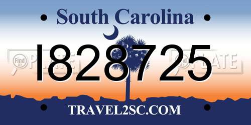 I828725 South Carolina License Plate