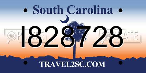 I828728 South Carolina License Plate