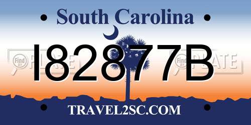 I82877B South Carolina License Plate