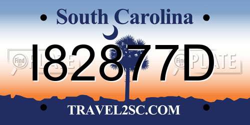 I82877D South Carolina License Plate