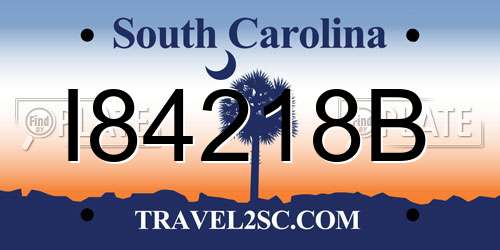 I84218B South Carolina License Plate