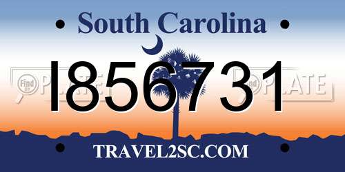 I856731 South Carolina License Plate