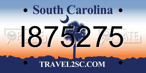 I875275 South Carolina License Plate