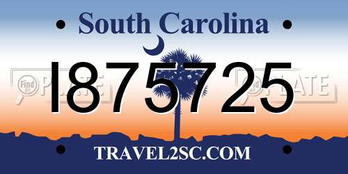 I875725 South Carolina License Plate