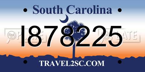 I878225 South Carolina License Plate