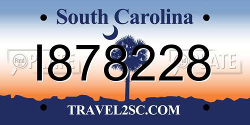 I878228 South Carolina License Plate
