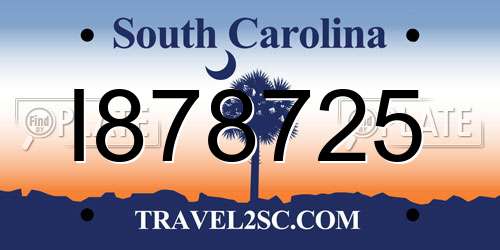 I878725 South Carolina License Plate