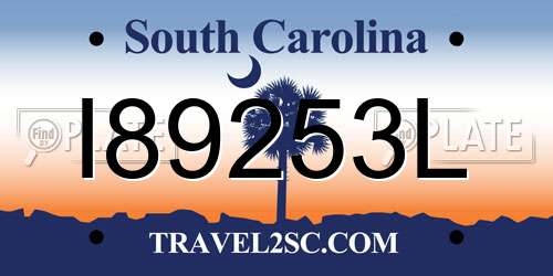 I89253L South Carolina License Plate