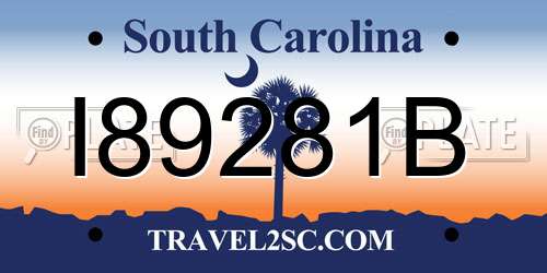 I89281B South Carolina License Plate