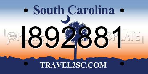 I892881 South Carolina License Plate