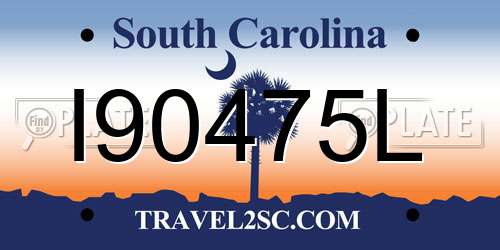 I90475L South Carolina License Plate