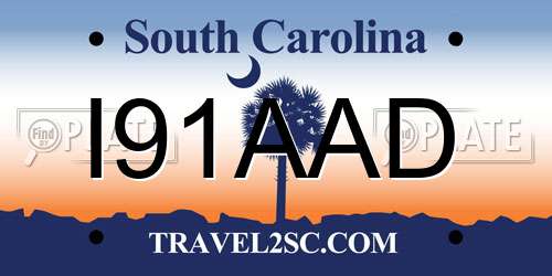 I91AAD South Carolina License Plate