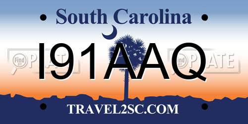 I91AAQ South Carolina License Plate