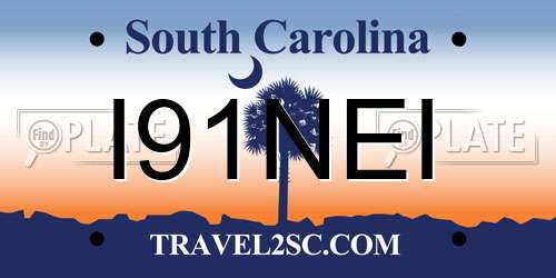 I91NEI South Carolina License Plate