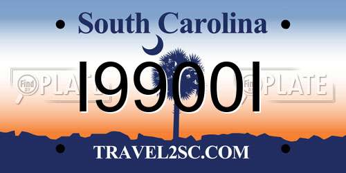I9900I South Carolina License Plate