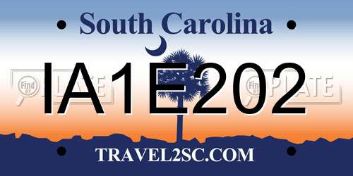 IA1E202 South Carolina License Plate