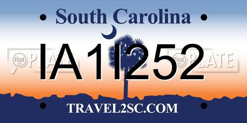 IA1I252 South Carolina License Plate