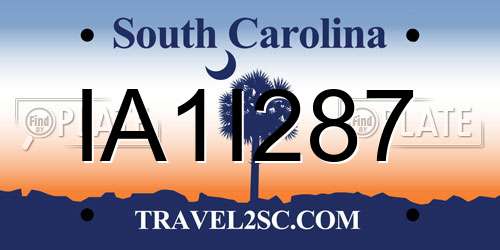 IA1I287 South Carolina License Plate
