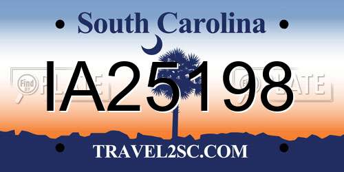 IA25198 South Carolina License Plate