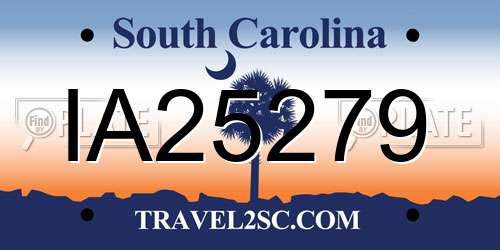 IA25279 South Carolina License Plate