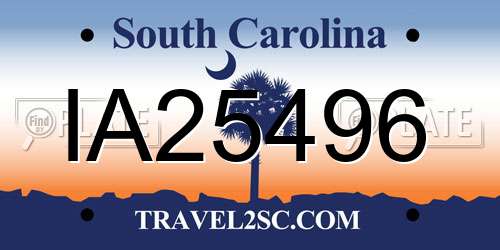 IA25496 South Carolina License Plate