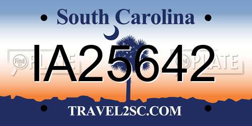 IA25642 South Carolina License Plate