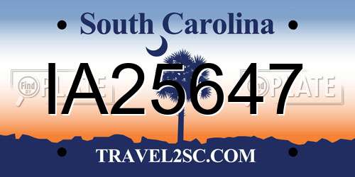 IA25647 South Carolina License Plate