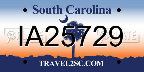 IA25729 South Carolina License Plate