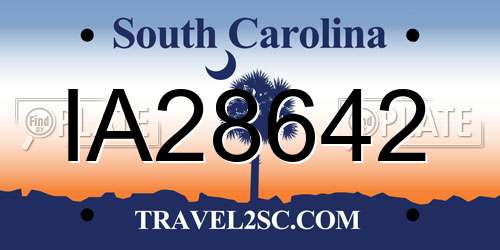 IA28642 South Carolina License Plate
