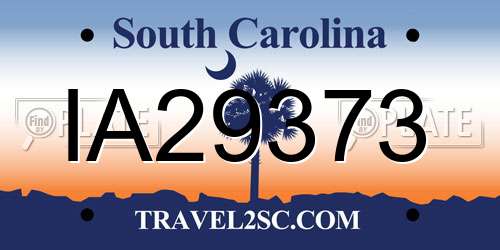 IA29373 South Carolina License Plate