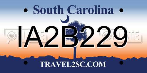 IA2B229 South Carolina License Plate