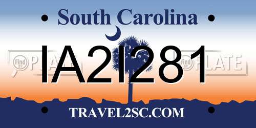 IA2I281 South Carolina License Plate