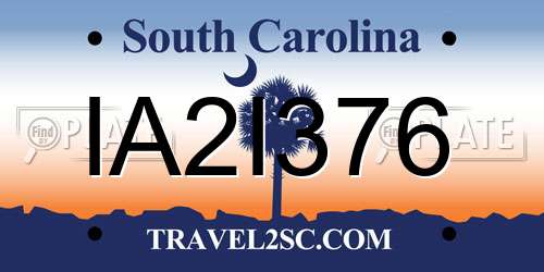 IA2I376 South Carolina License Plate
