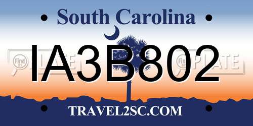 IA3B802 South Carolina License Plate