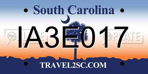 IA3E017 South Carolina License Plate