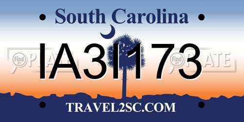 IA3I173 South Carolina License Plate