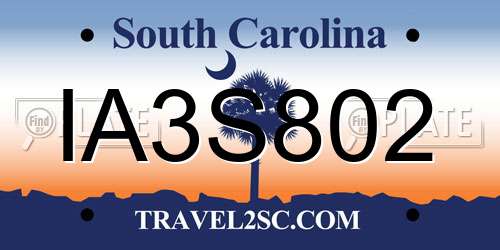 IA3S802 South Carolina License Plate
