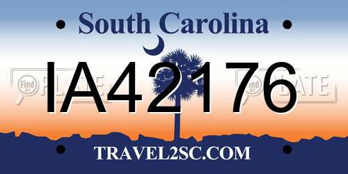 IA42176 South Carolina License Plate